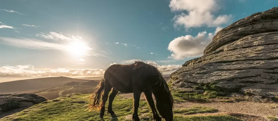 Dartmoor-wild-camping-to-resume-after-appeal-win